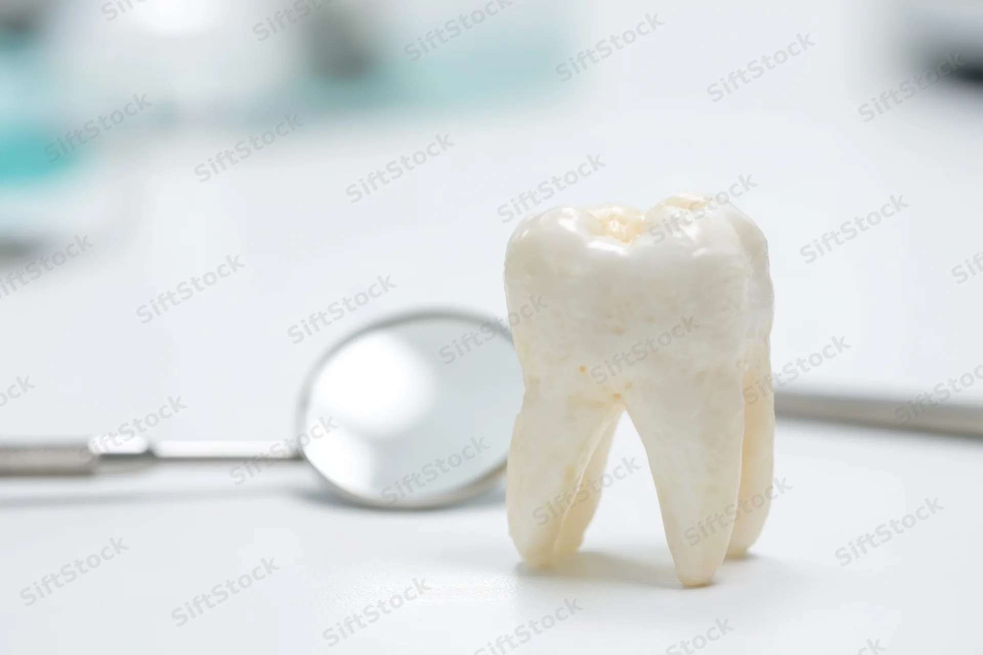A molar tooth model standing upright next to a dental mirror on a white surface