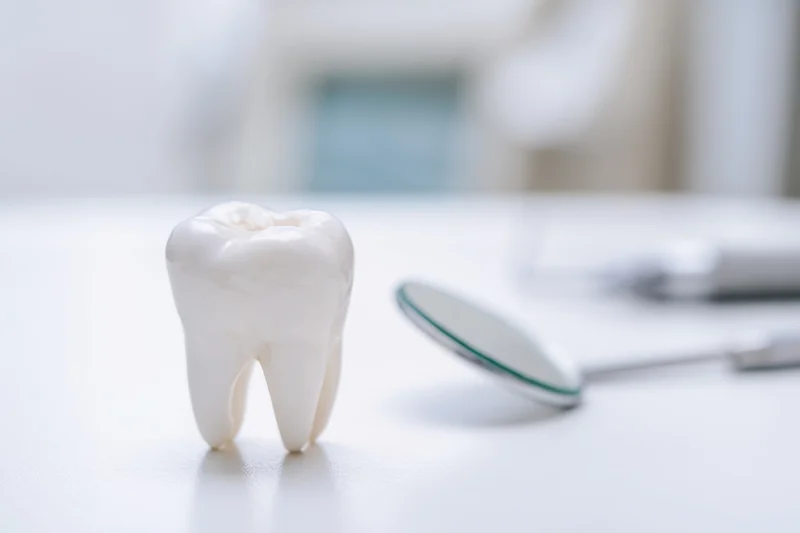 White dental model tooth on a clean surface with dental mirror nearby in a clinical setting