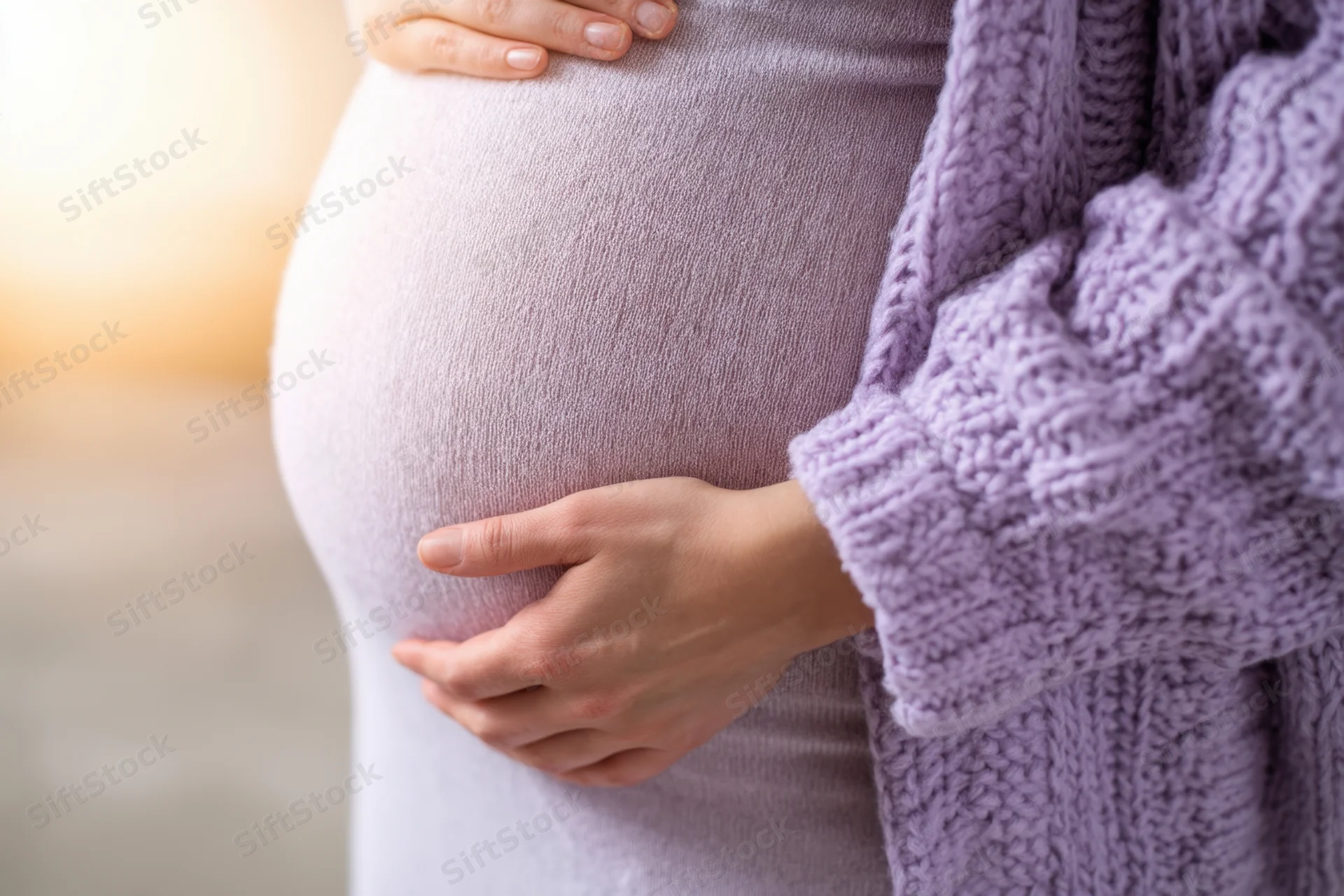 Pregnant woman cradling her belly with hands, wearing lavender knit sweater indoors