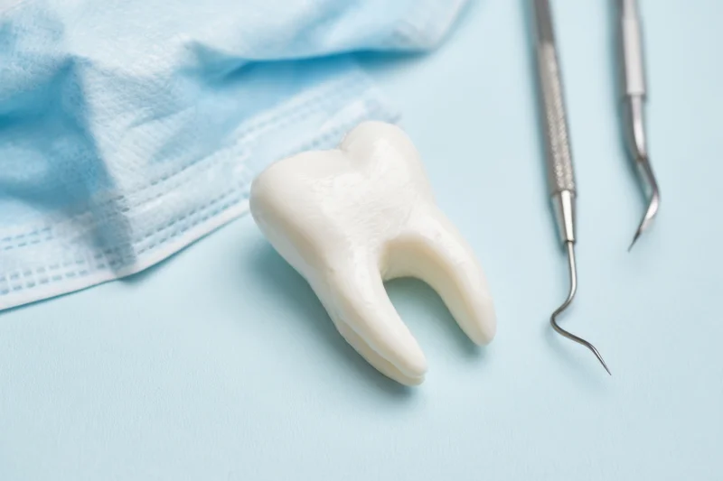 White tooth model with dental tools and mask on blue surface