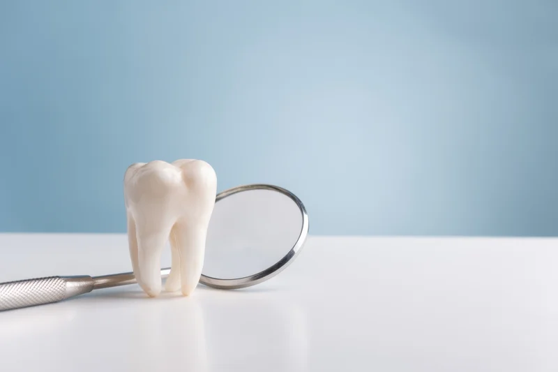 A white tooth model resting beside a dental mirror on a clean surface with blue background