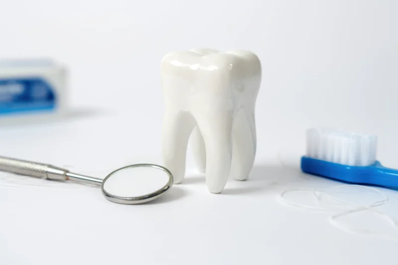 A white ceramic tooth model surrounded by dental tools and hygiene products on a plain white surface