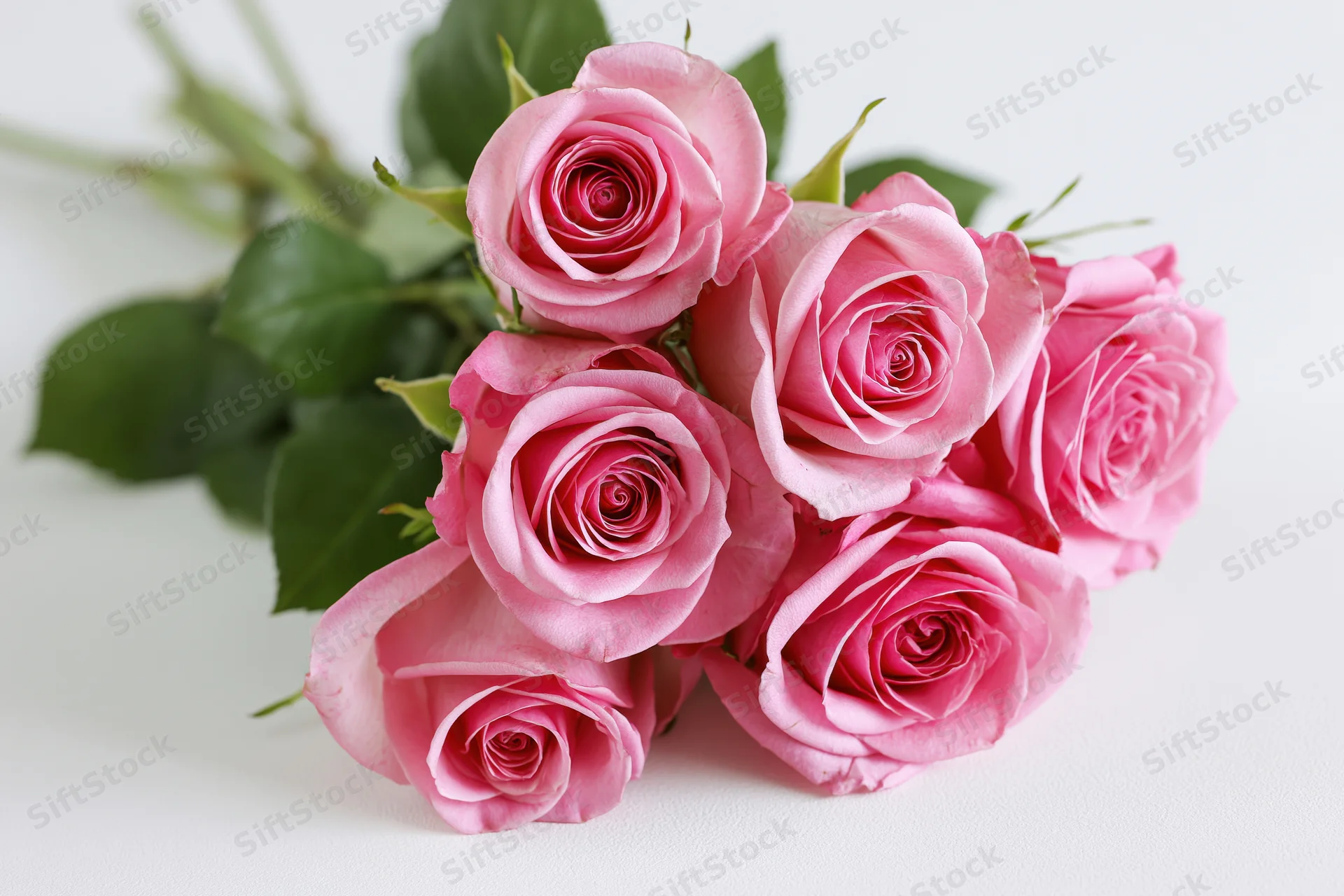 Bouquet of fresh pink roses with green leaves laid flat on white surface