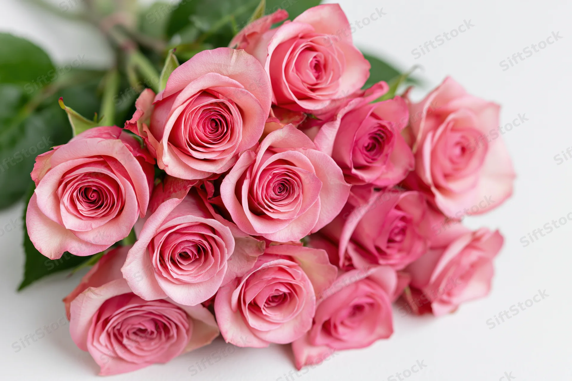 Bouquet of fresh pink roses with green leaves laid flat on white surface