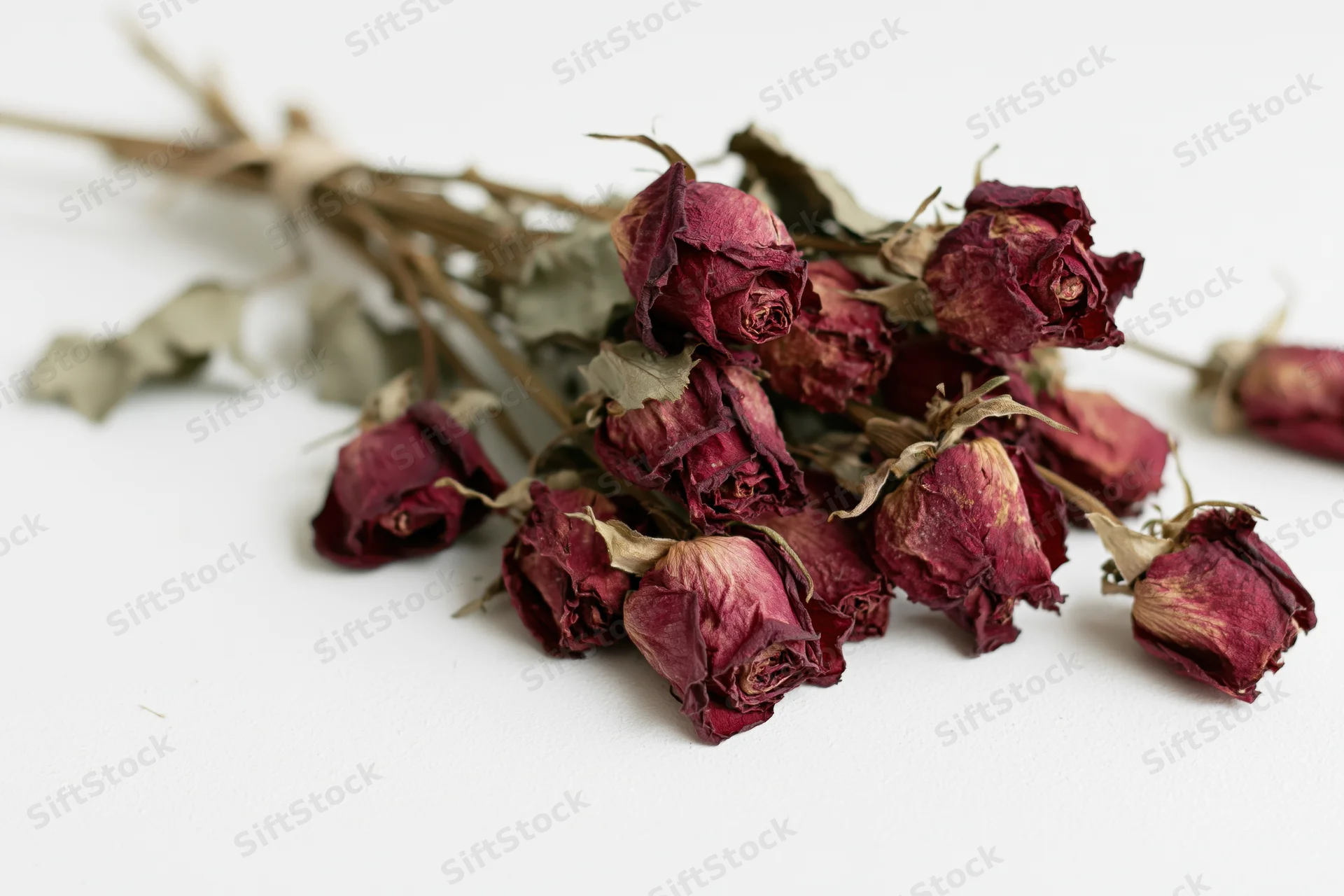 Dried roses arranged in a flat bundle on a white surface