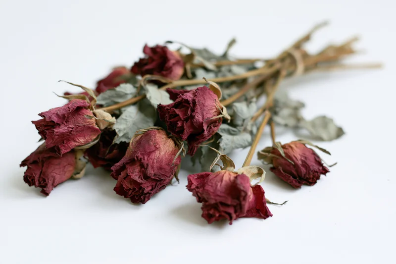 Dried roses bundled together lying flat on a white surface