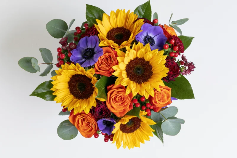 Dense round bouquet of mixed flowers including sunflowers, roses, anemones and eucalyptus leaves on white background