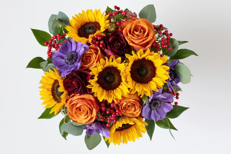 Dense round bouquet of sunflowers, roses, anemones and berries with greenery on white background