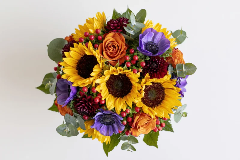 Dense round bouquet of mixed flowers including sunflowers, roses, anemones, and eucalyptus leaves on white background