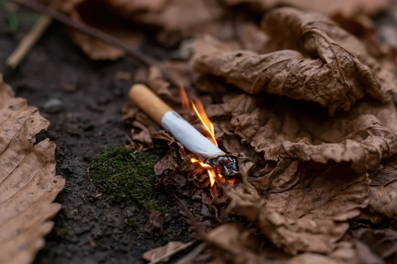 Lit cigarette burning on dry fallen leaves in a forest floor setting