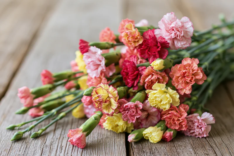 Loose bouquet of mixed mini carnations in pink red and yellow arranged on a rustic wooden table