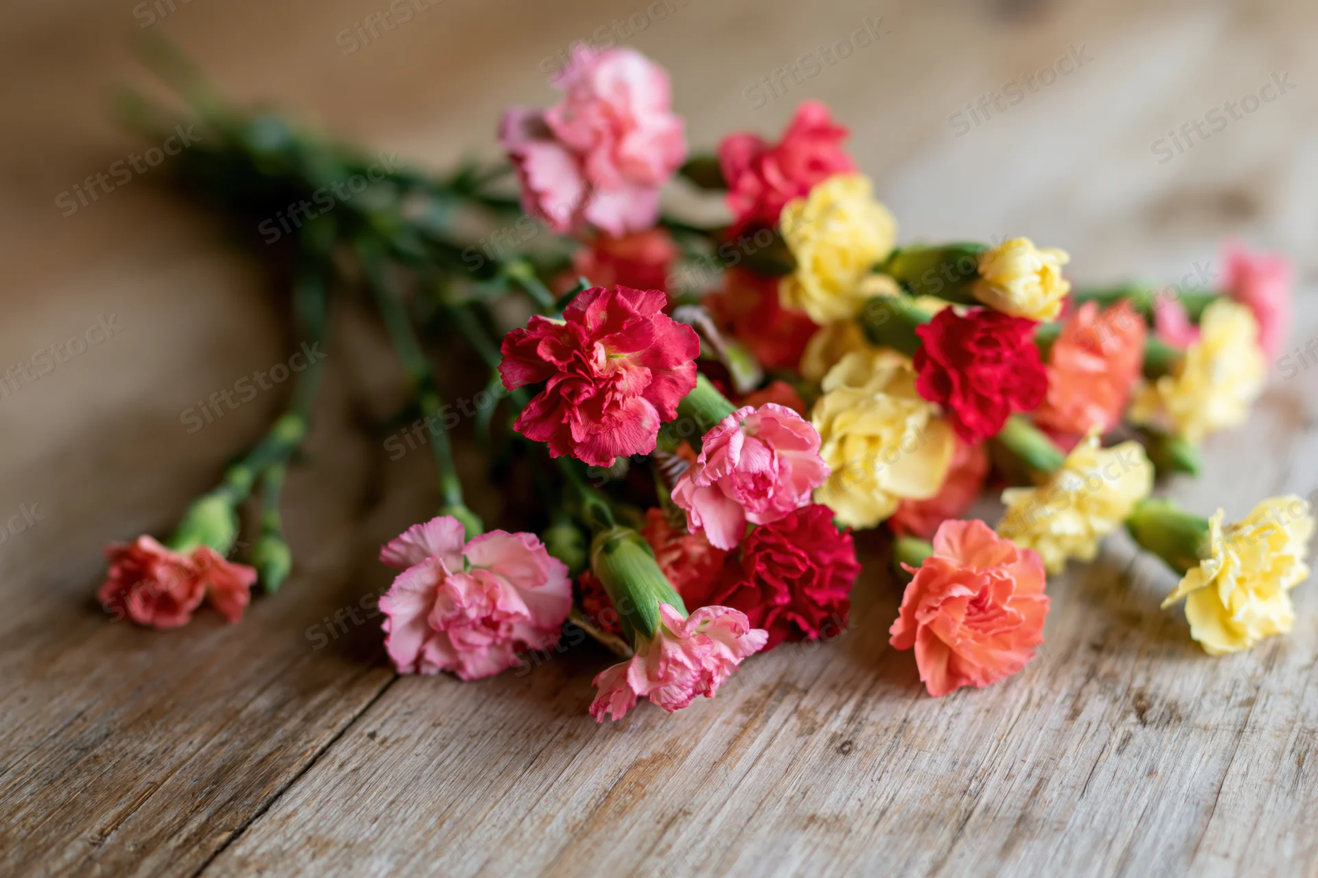 Loose bouquet of mixed mini carnations in pink red yellow orange arranged on rustic wooden table