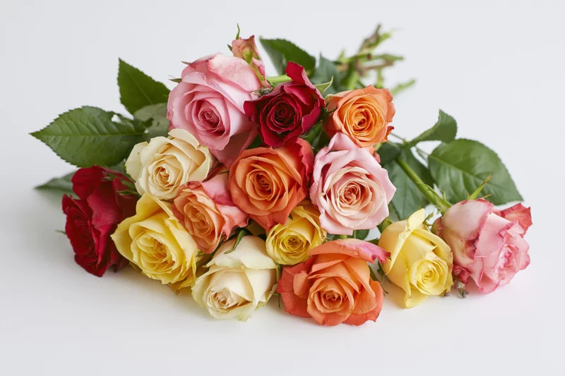 Loose bouquet of mixed roses lying flat on white surface