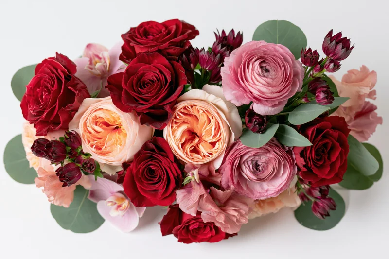 Horizontal mixed flower bouquet with red roses, pink ranunculus, peach peonies, and green eucalyptus on white background