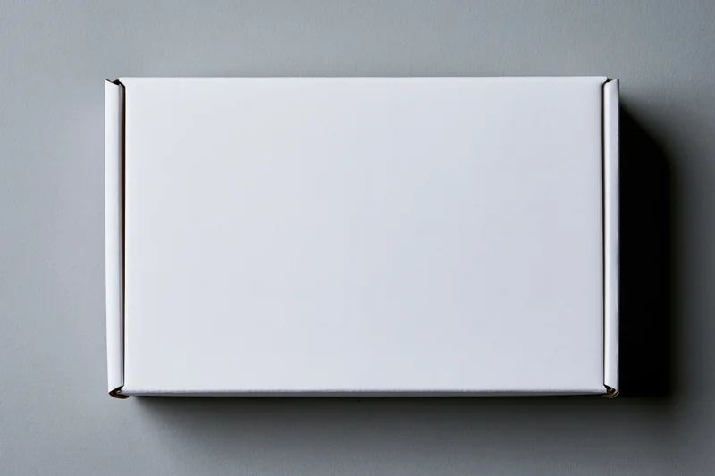 Plain white rectangular cardboard mailer box photographed from above on a gray surface