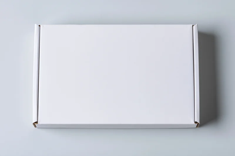 Plain white rectangular cardboard mailer box closed and centered on a light gray surface