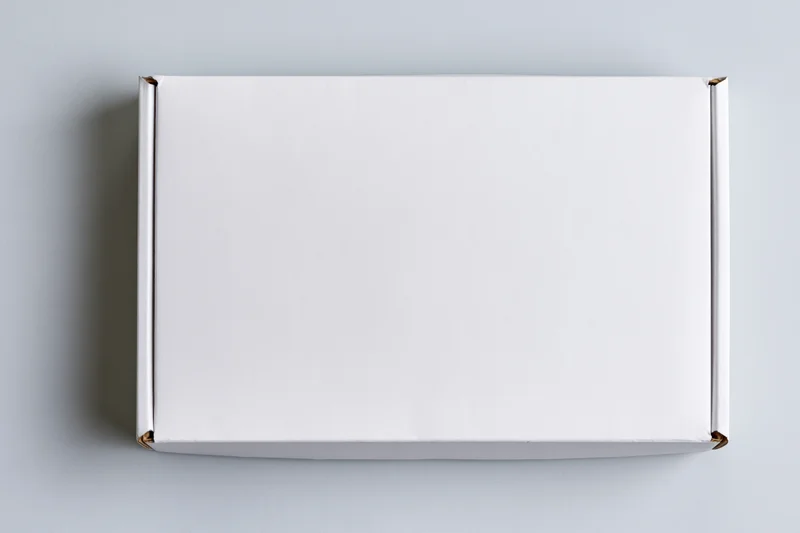 Plain white rectangular cardboard mailer box photographed from above on a neutral surface