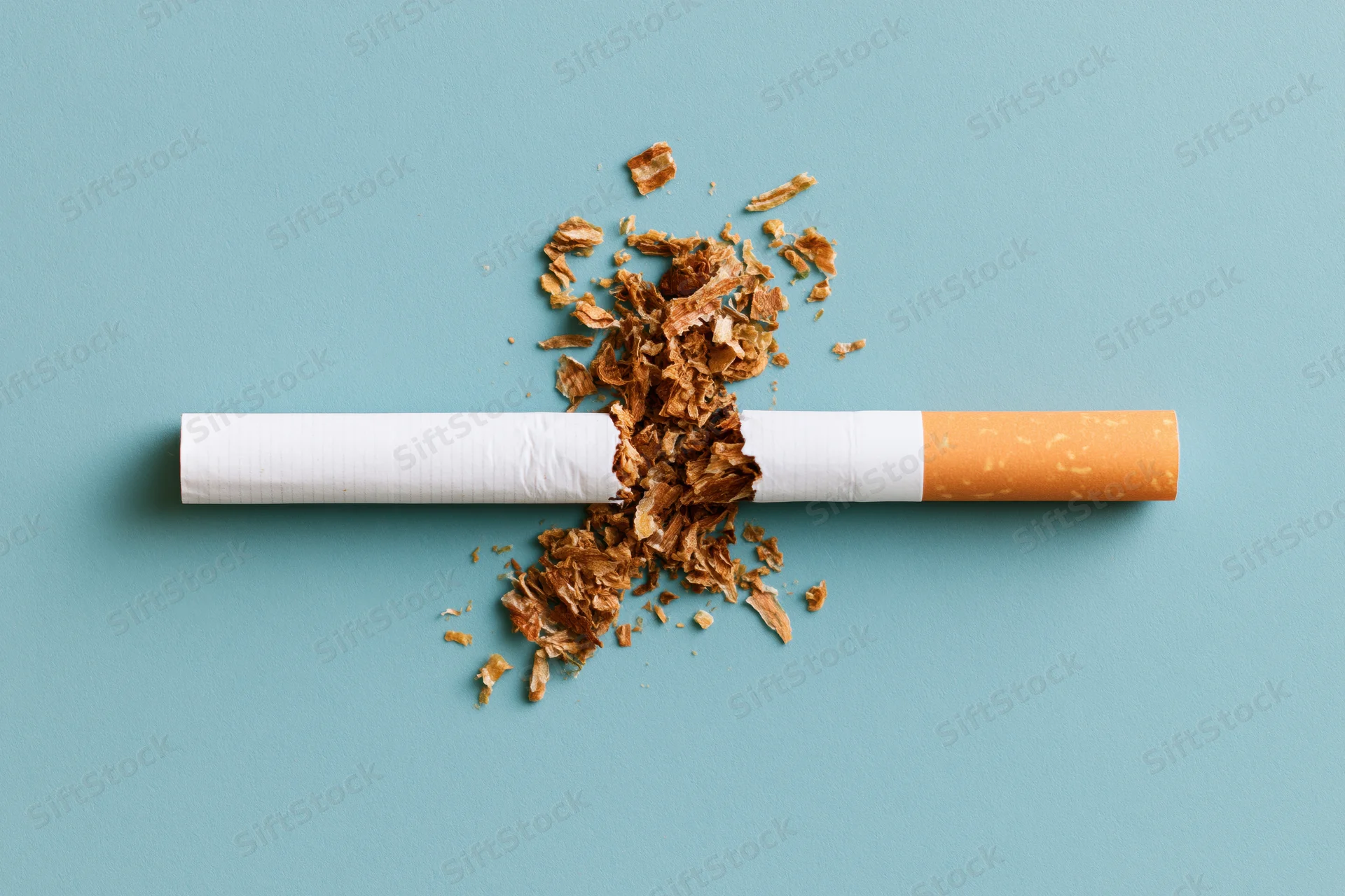 Broken cigarette with loose tobacco scattered on blue background