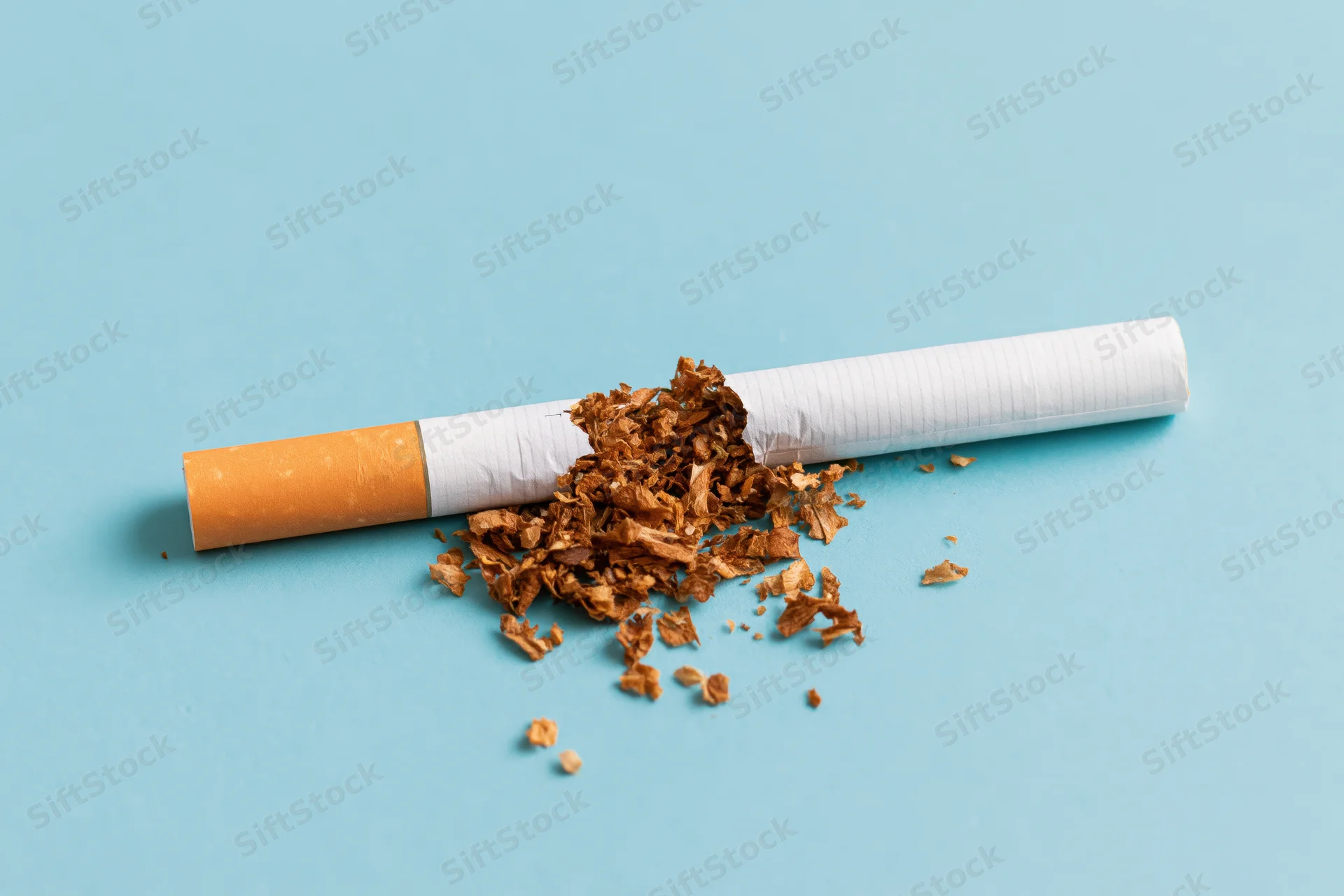 Broken cigarette with loose tobacco spilled on blue background