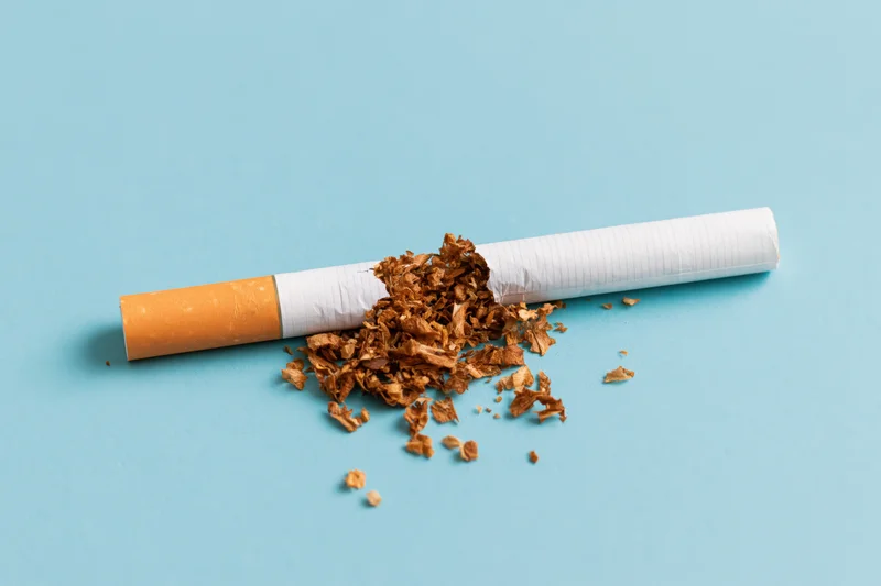 Broken cigarette with loose tobacco spilled on blue background