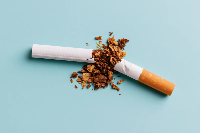 Broken cigarette with loose tobacco spilling out on blue background