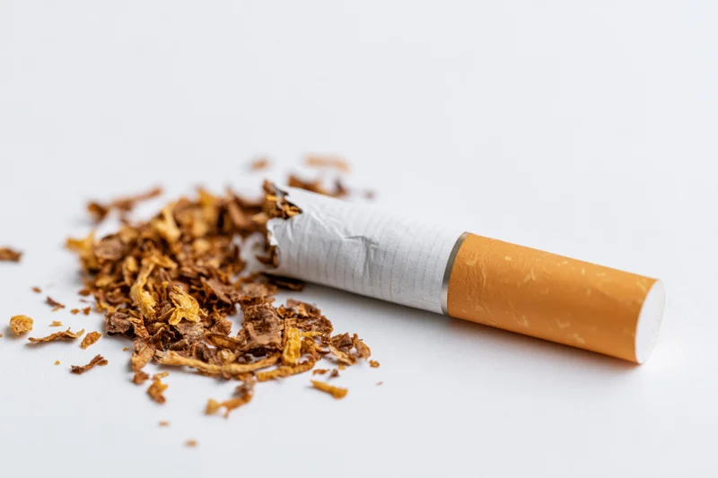 Broken cigarette lying on white surface with scattered tobacco shreds