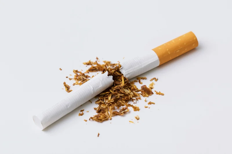 Broken cigarette lying on white surface with tobacco spilled out