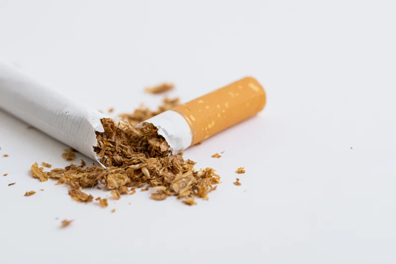Broken cigarette with tobacco spilling out on white surface