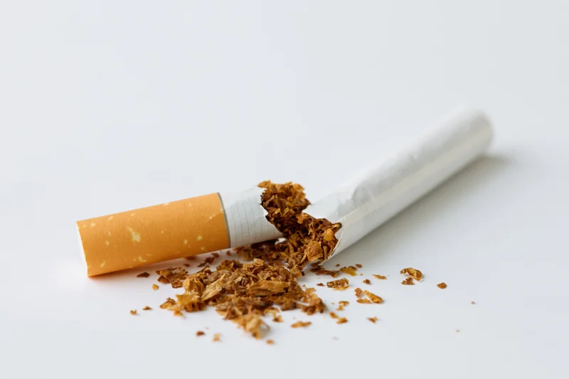 Broken cigarette with tobacco spilling out on white surface