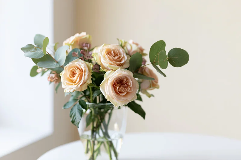 Peach roses and eucalyptus arranged in a glass vase on a white table near a window