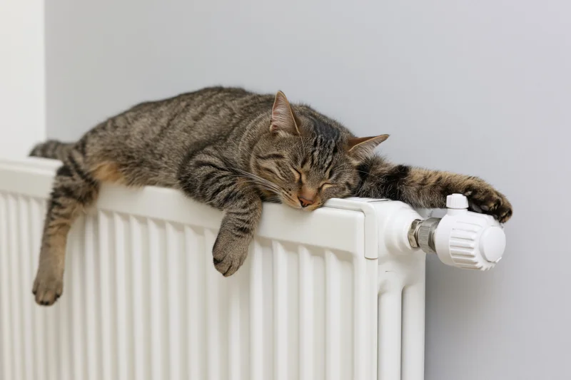 Tabby cat sleeping sprawled on white wall-mounted radiator in home interior