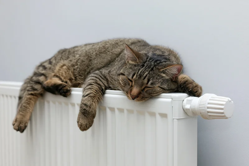 Tabby cat sleeping sprawled on top of a white wall-mounted radiator
