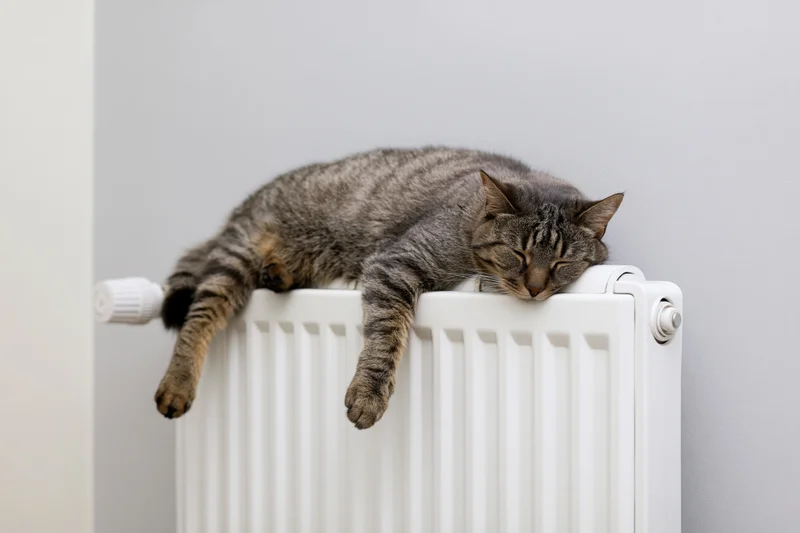 Tabby cat sleeping sprawled on top of a white wall-mounted radiator