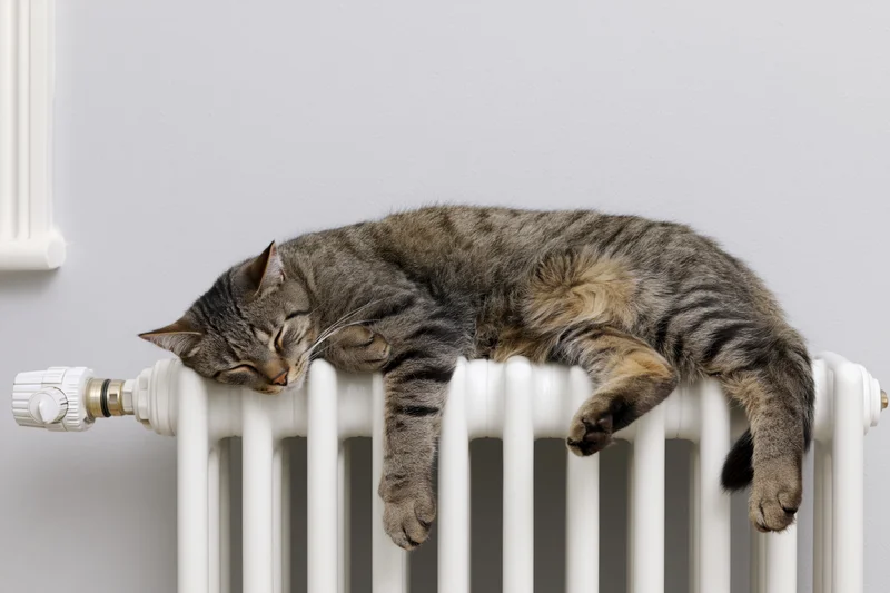 Tabby cat sleeping sprawled on white wall-mounted radiator in home interior