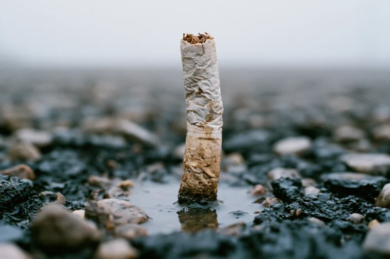 Used cigarette butt standing upright in a puddle on wet gravel ground
