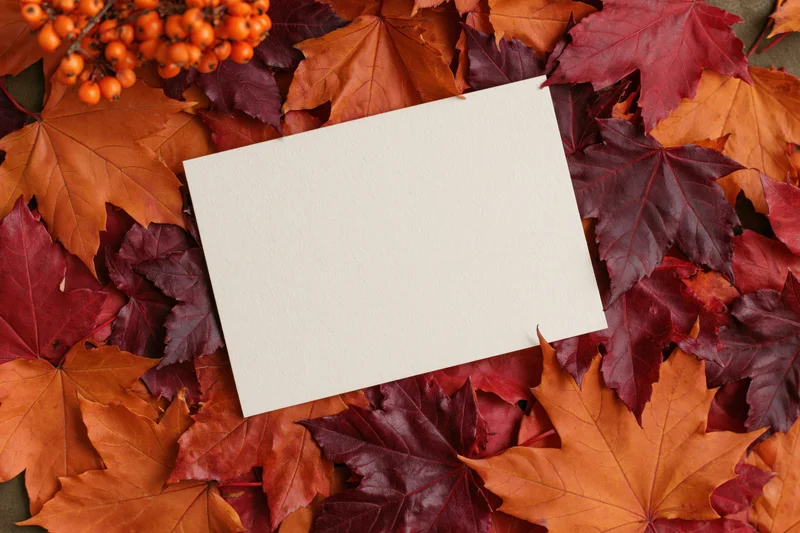 Blank cream paper card lying flat on a dense bed of autumn maple leaves