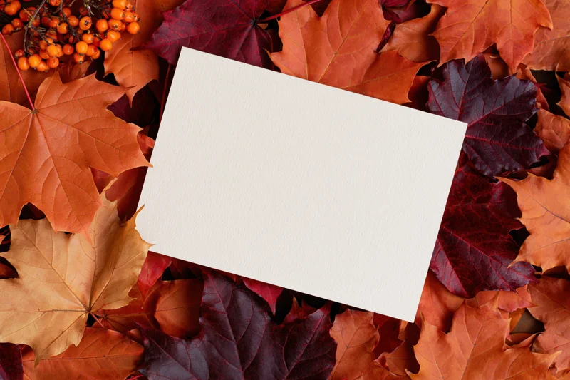 Blank cream paper card lying flat on a dense bed of autumn maple leaves