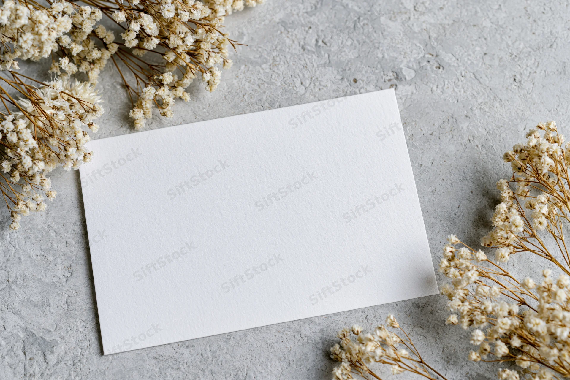 Blank white card lying flat on textured grey surface surrounded by dried baby's breath flowers
