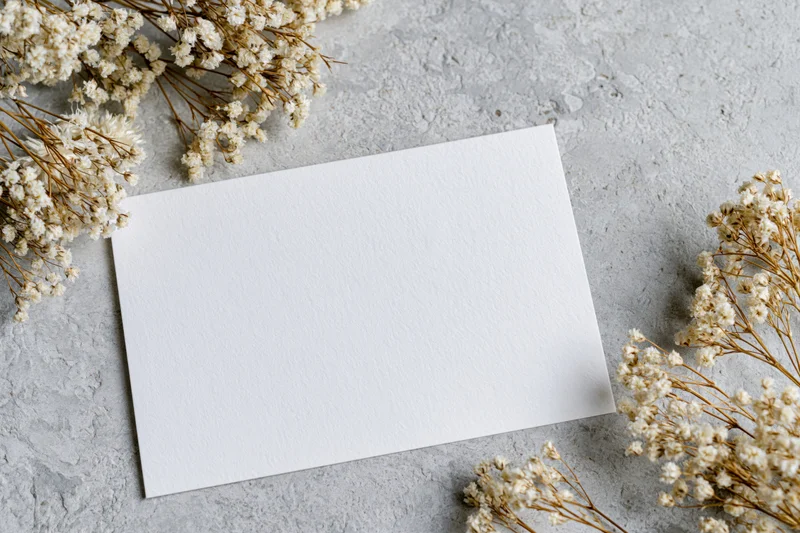 Blank white card lying flat on textured grey surface surrounded by dried baby's breath flowers