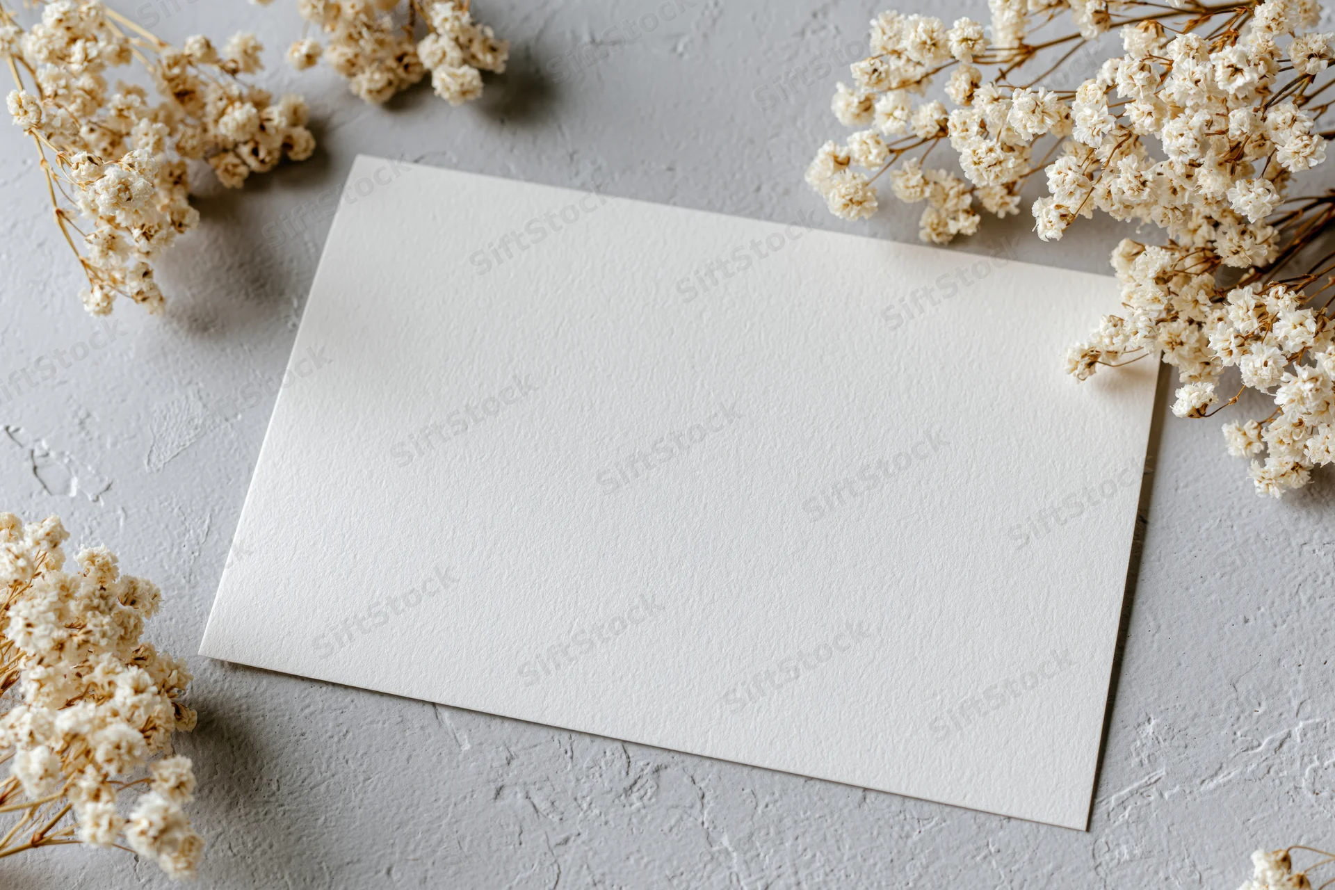 Blank white card lying flat on textured grey surface surrounded by dried baby's breath flowers
