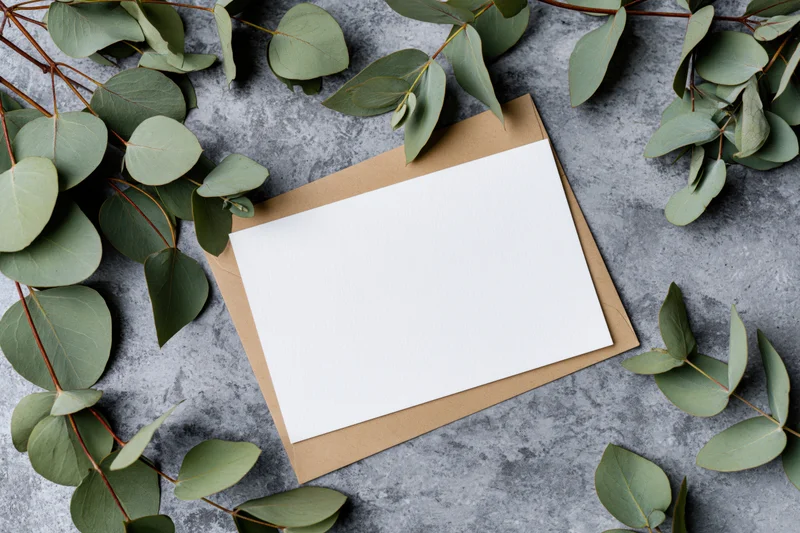 Blank white greeting card resting on kraft envelope surrounded by eucalyptus leaves on gray surface