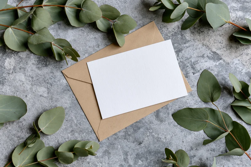 Blank white card on kraft envelope surrounded by eucalyptus leaves on gray surface
