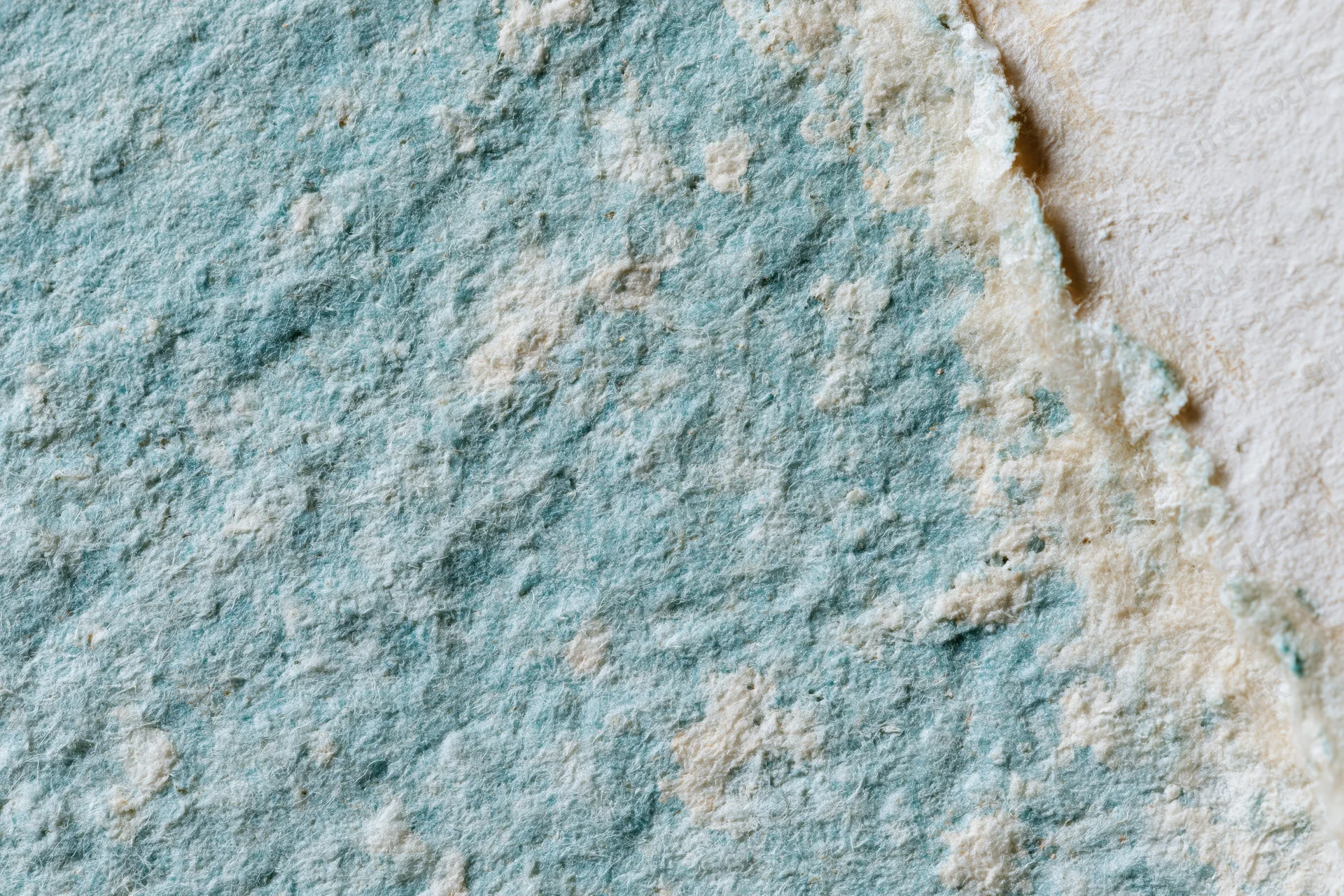 Close-up of aged turquoise paper surface with peeling texture and weathered edges