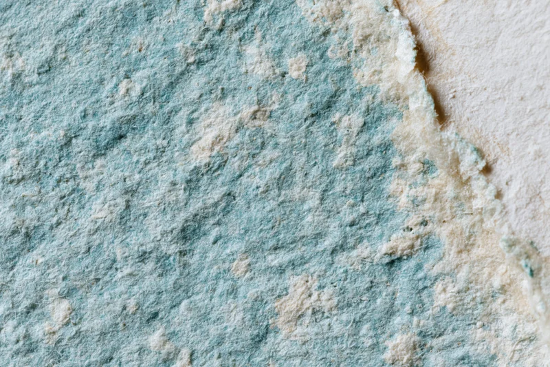 Close-up of aged turquoise paper surface with peeling texture and weathered edges