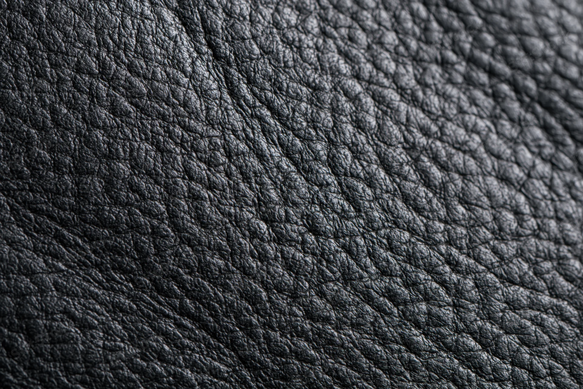 Close-up of black genuine leather surface showing natural grain texture