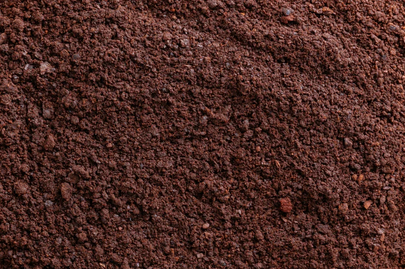 Finely ground coffee spread in a flat lay filling the frame