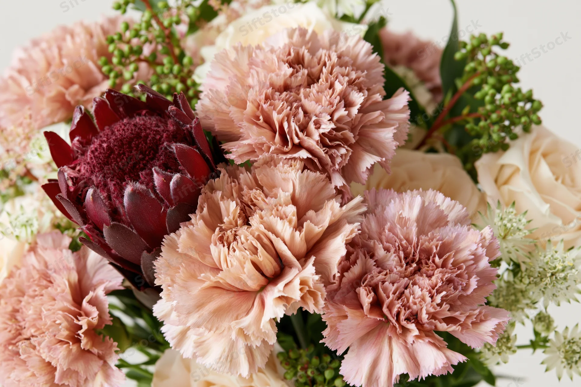 Close-up of a mixed floral arrangement with dusty rose carnations, cream roses, and dark red protea surrounded by greenery