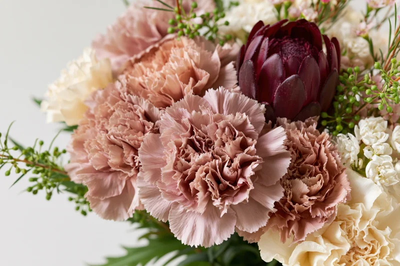 Close-up of a mixed floral arrangement with dusty rose carnations, burgundy protea, and greenery on a white background