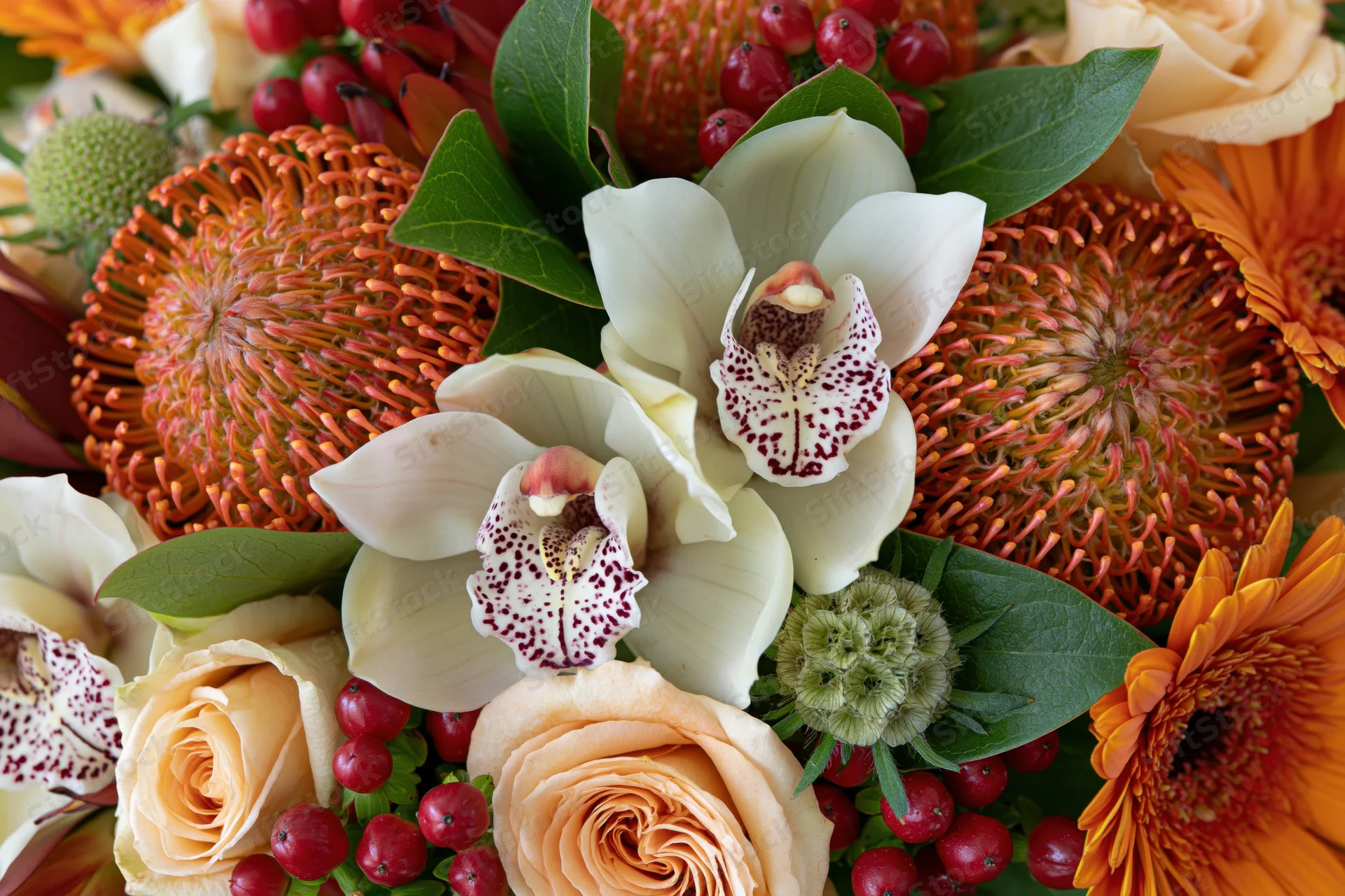 Close-up overhead view of a lush mixed floral arrangement with white orchids, peach roses, orange proteas, and red berries