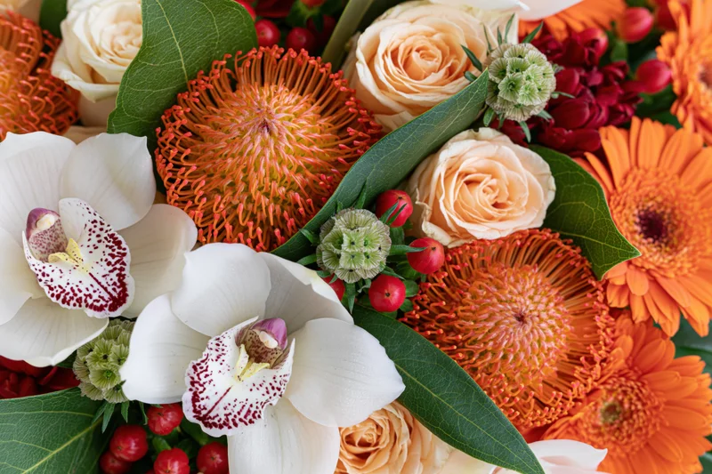 Close-up overhead view of a lush mixed flower arrangement with white orchids, peach roses, orange gerberas, green foliage, and red berries